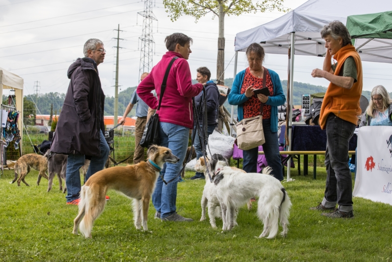Windsprite-Treffen-2022-6