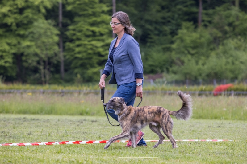 Windsprite-Treffen-2022-76