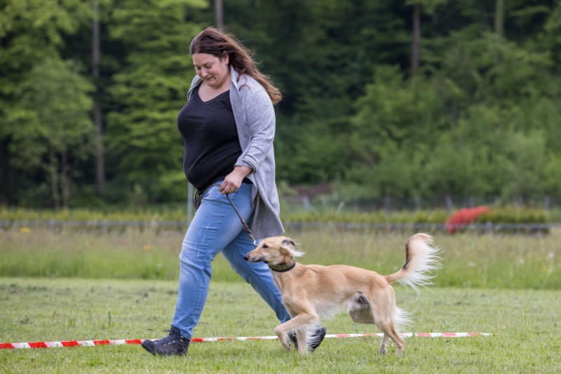 Windsprite-Treffen-2022-77