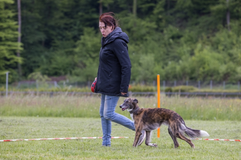 Windsprite-Treffen-2022-78