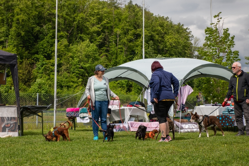 Windsprite-Treffen-2022-8