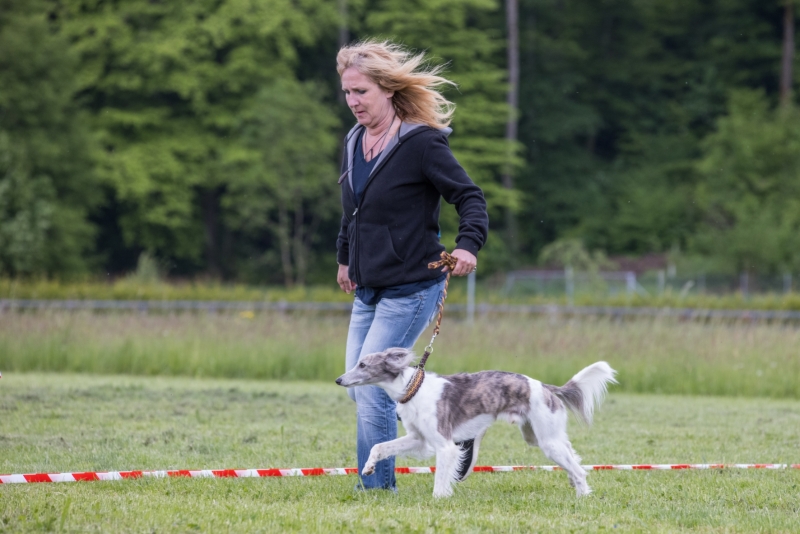 Windsprite-Treffen-2022-85