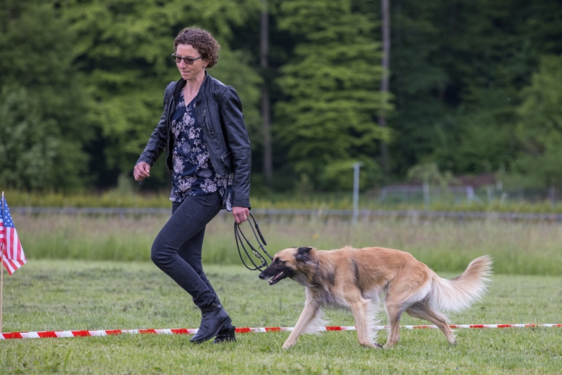 Windsprite-Treffen-2022-86