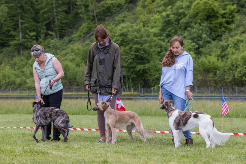 Windsprite-Treffen-2022-94