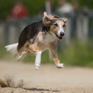 Windsprite-Treffen-2023-207