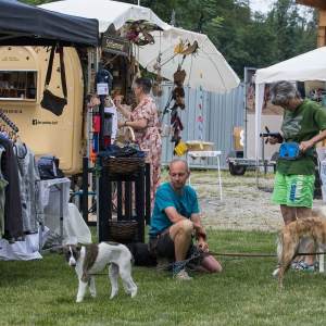 Windsprite-Treffen-2023-22
