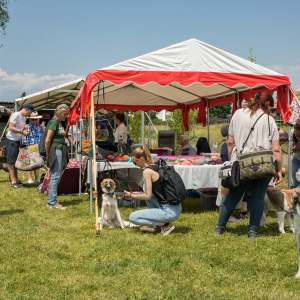 Windsprite-Treffen-2023-241