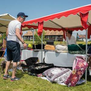 Windsprite-Treffen-2023-242