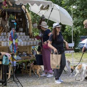 Windsprite-Treffen-2023-245
