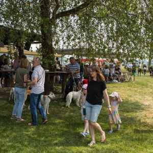 Windsprite-Treffen-2023-246