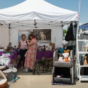 Windsprite-Treffen-2023-247