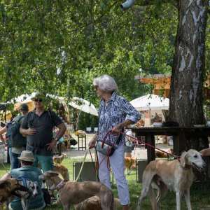 Windsprite-Treffen-2023-254