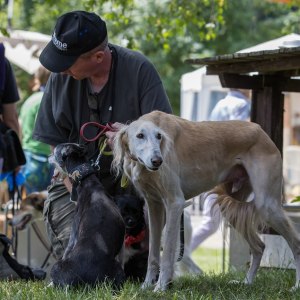 Windsprite-Treffen-2023-257