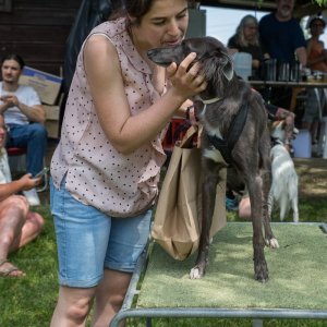 Windsprite-Treffen-2023-258