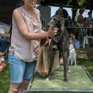 Windsprite-Treffen-2023-259