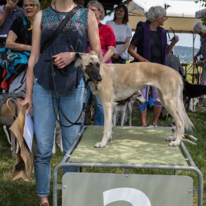 Windsprite-Treffen-2023-261