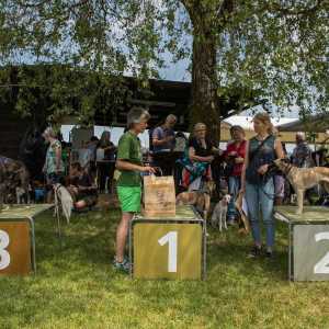 Windsprite-Treffen-2023-262
