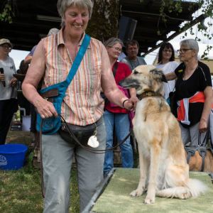 Windsprite-Treffen-2023-272