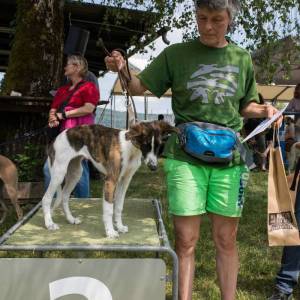 Windsprite-Treffen-2023-275