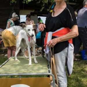 Windsprite-Treffen-2023-276