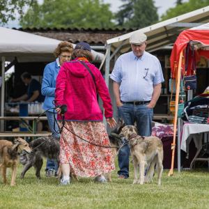 Windsprite-Treffen-2023-32