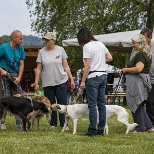 Windsprite-Treffen-2023-37