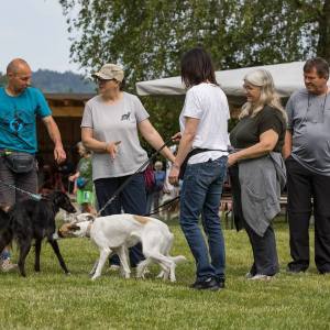 Windsprite-Treffen-2023-38