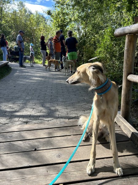 20230916_085136056_iOS