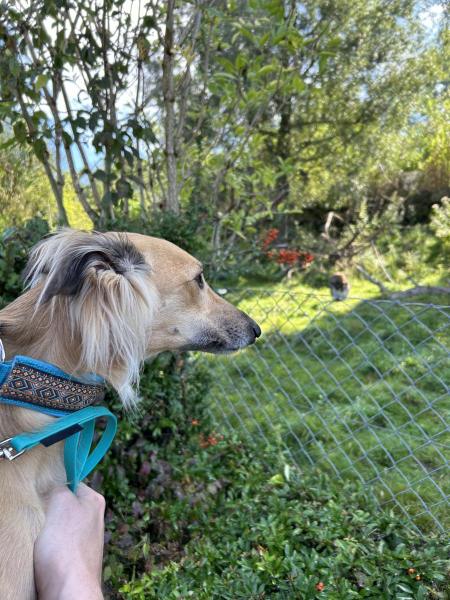 20230916_085640244_iOS