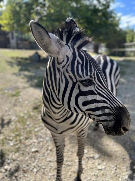 20230916_090414956_iOS