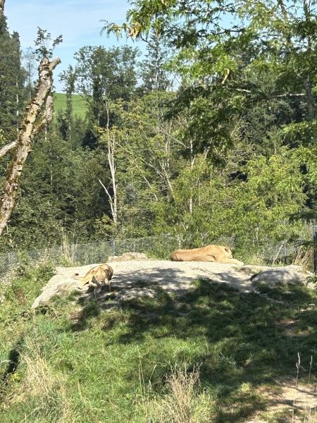 20230916_091701415_iOS