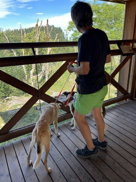 20230916_091719985_iOS