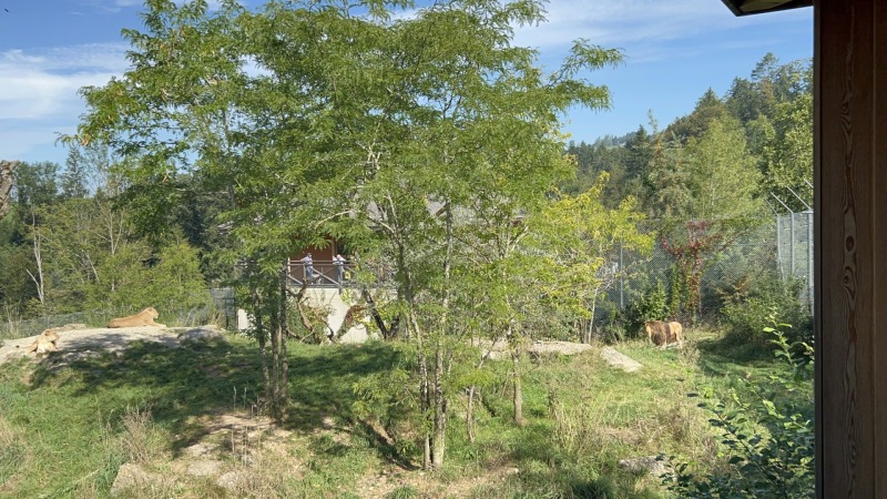 20230916_092044068_iOS