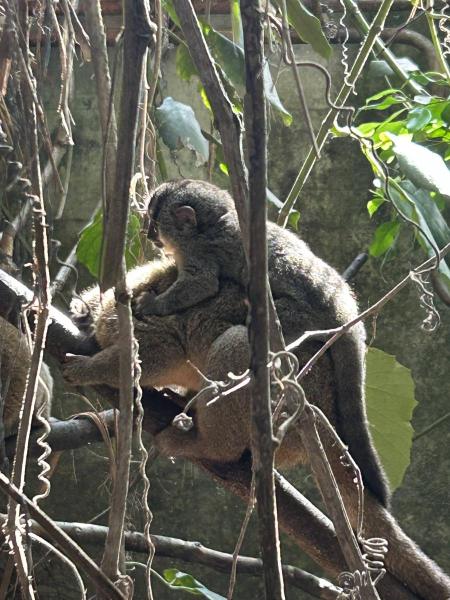 20230916_095419703_iOS