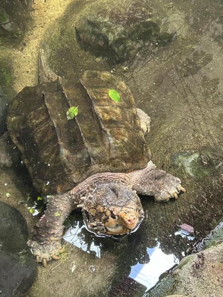 20230916_095603255_iOS