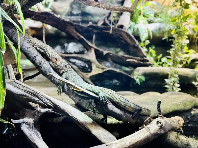 20230916_095711151_iOS-1