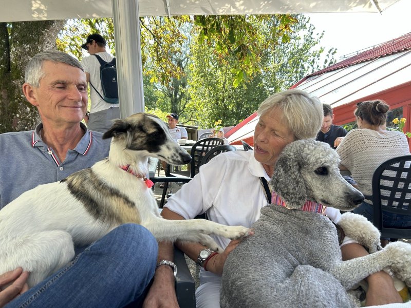 20230916_115714502_iOS