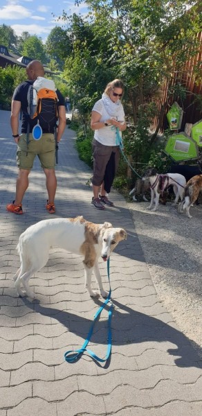 5a878d55-e332-41d9-929d-c161fb20d8f0