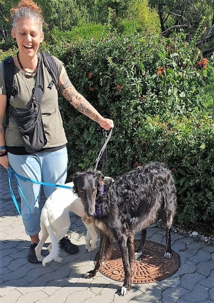 5d5f8639-954f-4eb7-a9d9-f1d3feb8a7fe