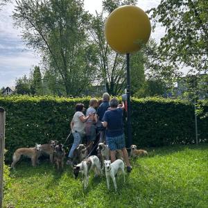 detektivtrail14 detektivtrail14