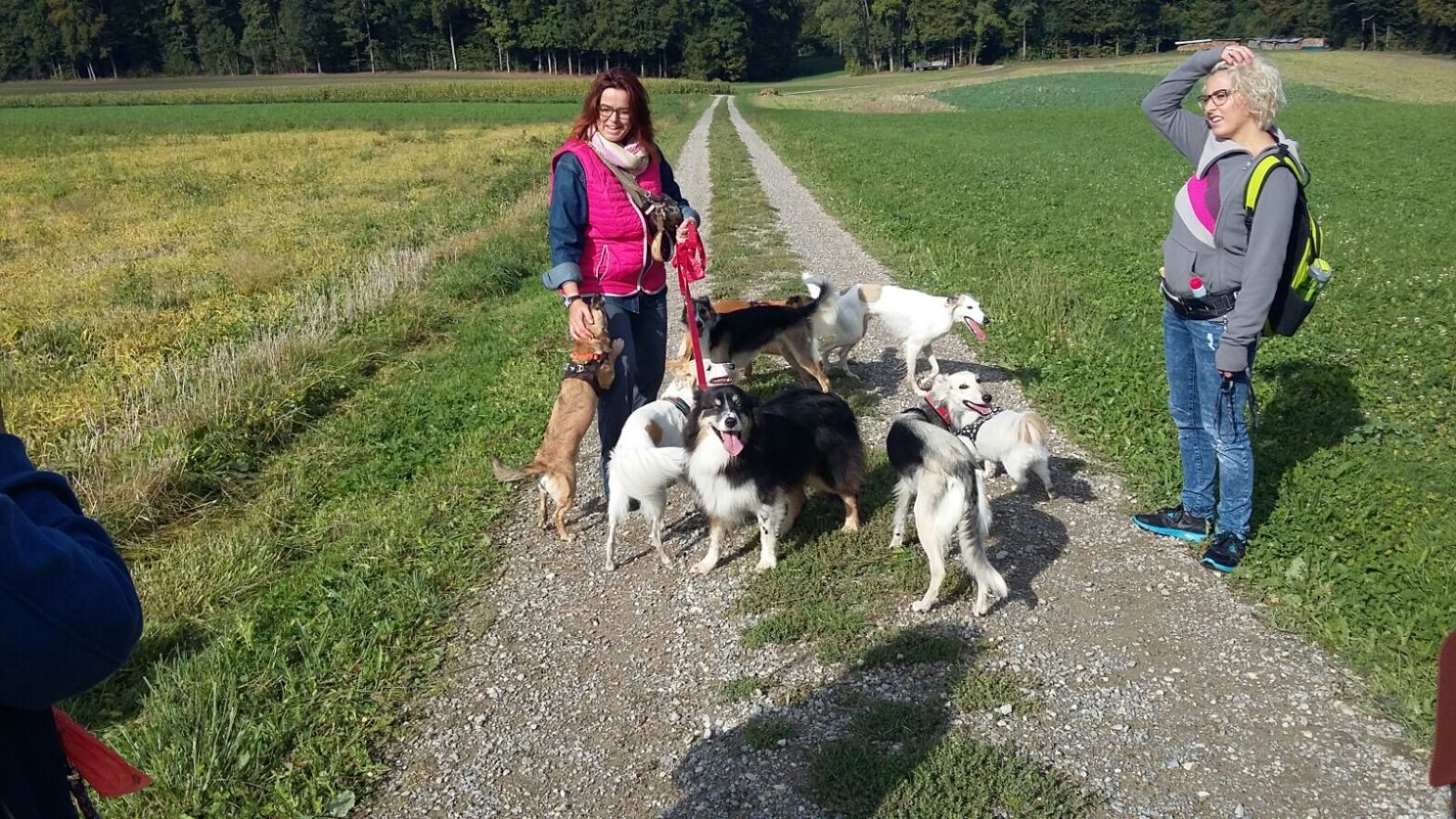 Wanderung auf dem Seerücken 2015