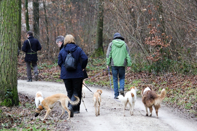 Spaziergang / Besprechung Jahresprogram 2014